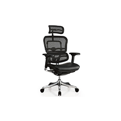 金豪大班椅系列 Erghuman office chair